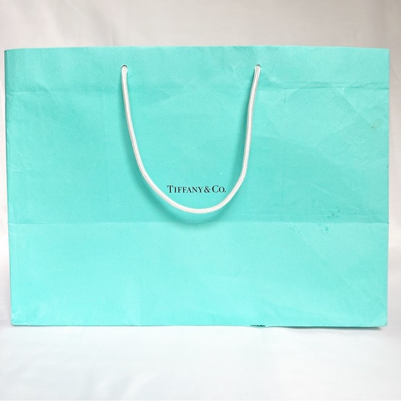 Tiffany & Co. Bags Tiffany Co Blue Paper Boutique Shopping Bag